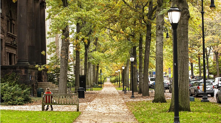 画像|Yale University, Hillhouse Avenue. ※1